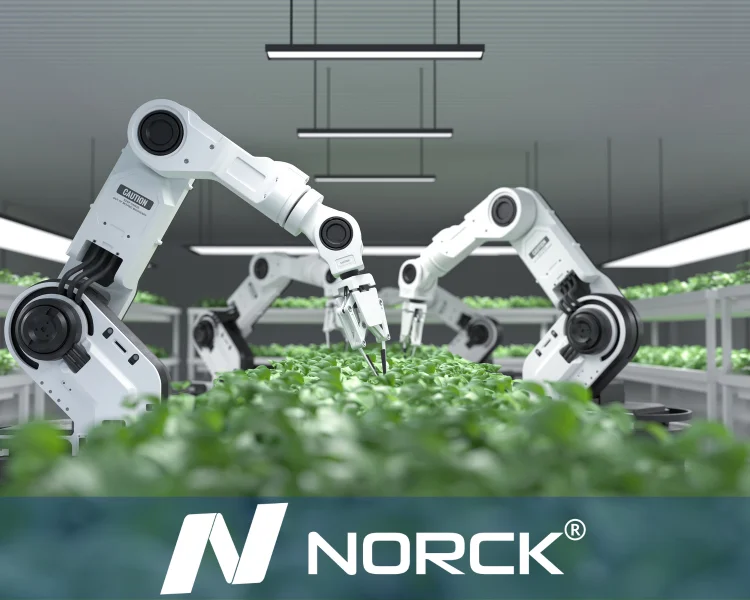 Norck Robotics