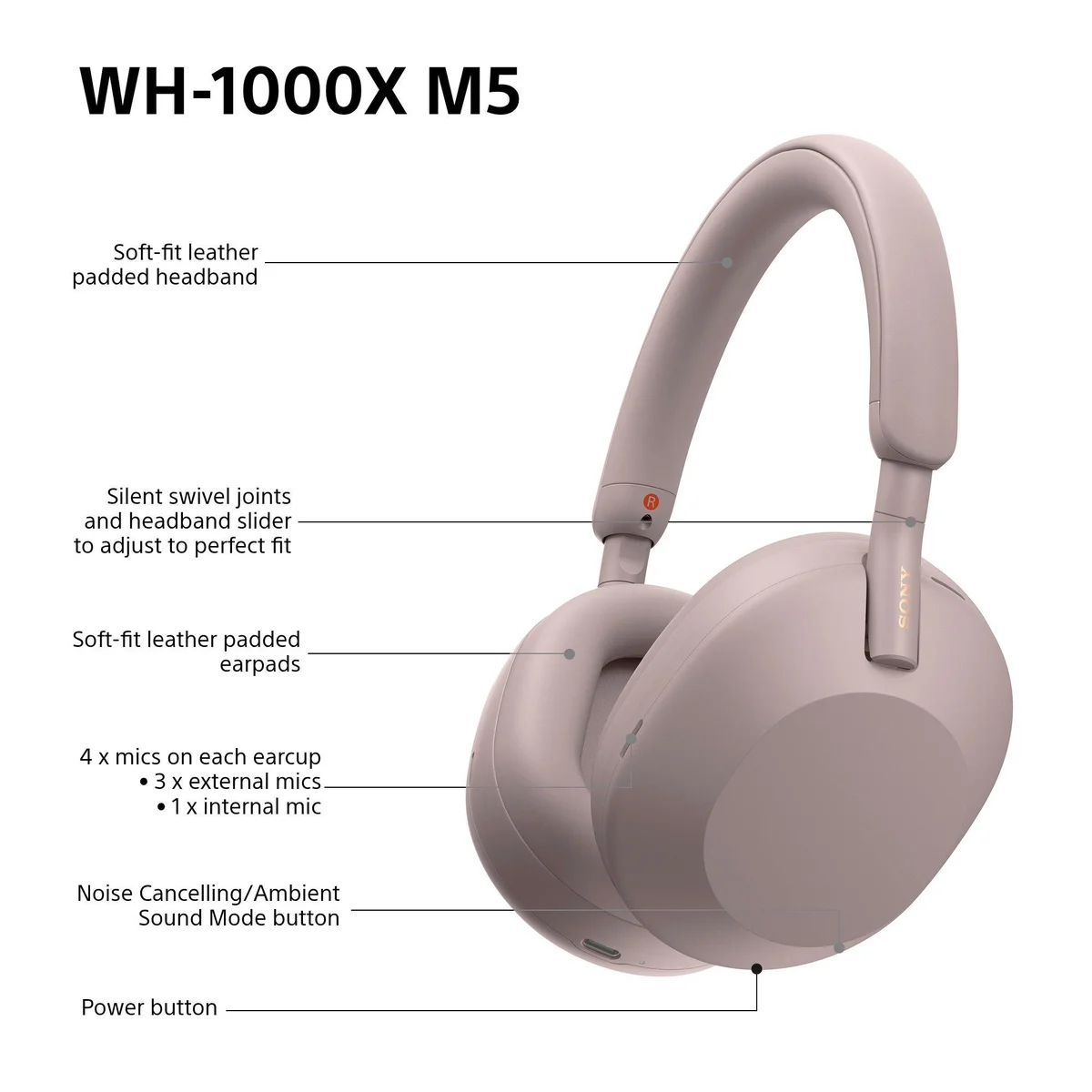 Sony WH-1000XM5 The ColleXion